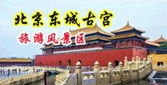 黄片美女大鸡巴中国北京-东城古宫旅游风景区